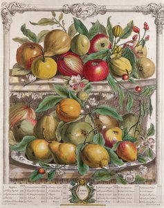 Duben, z knihy "Dvanáct měsíců ovoce", autor Robert Furber (asi 1674-1756), vyryl J. Clark, 1732 od Pieter Casteels